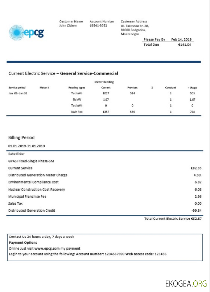 Montenegro Elektroprivreda Crne Gore (EPCG) electricity utility bill template in Word and PDF format